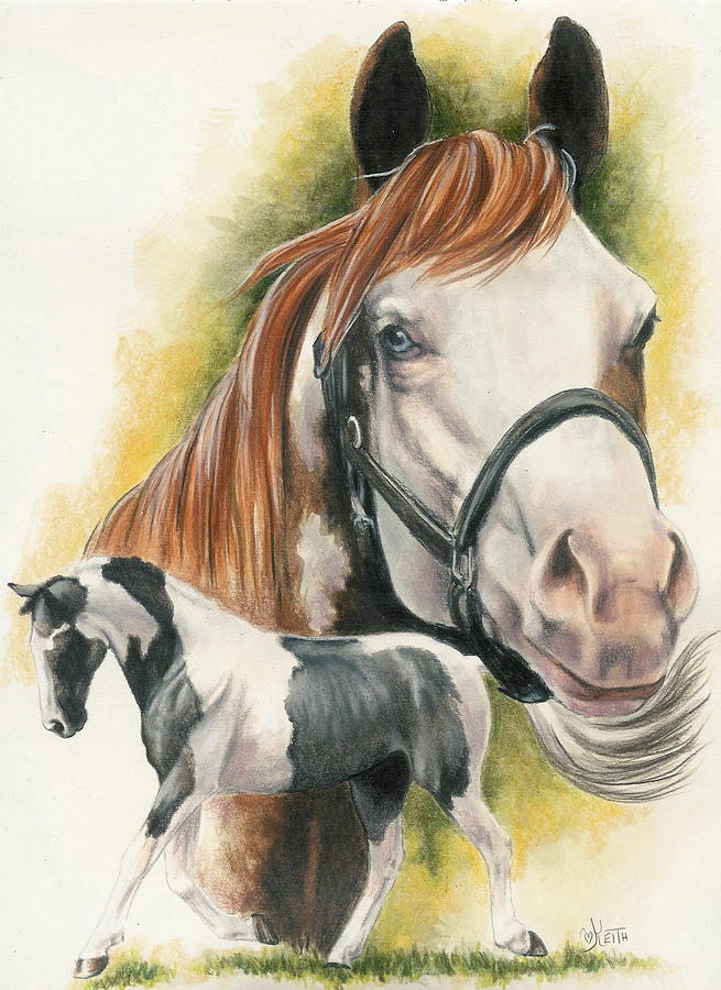 American Paint Horse - Barbara Keith